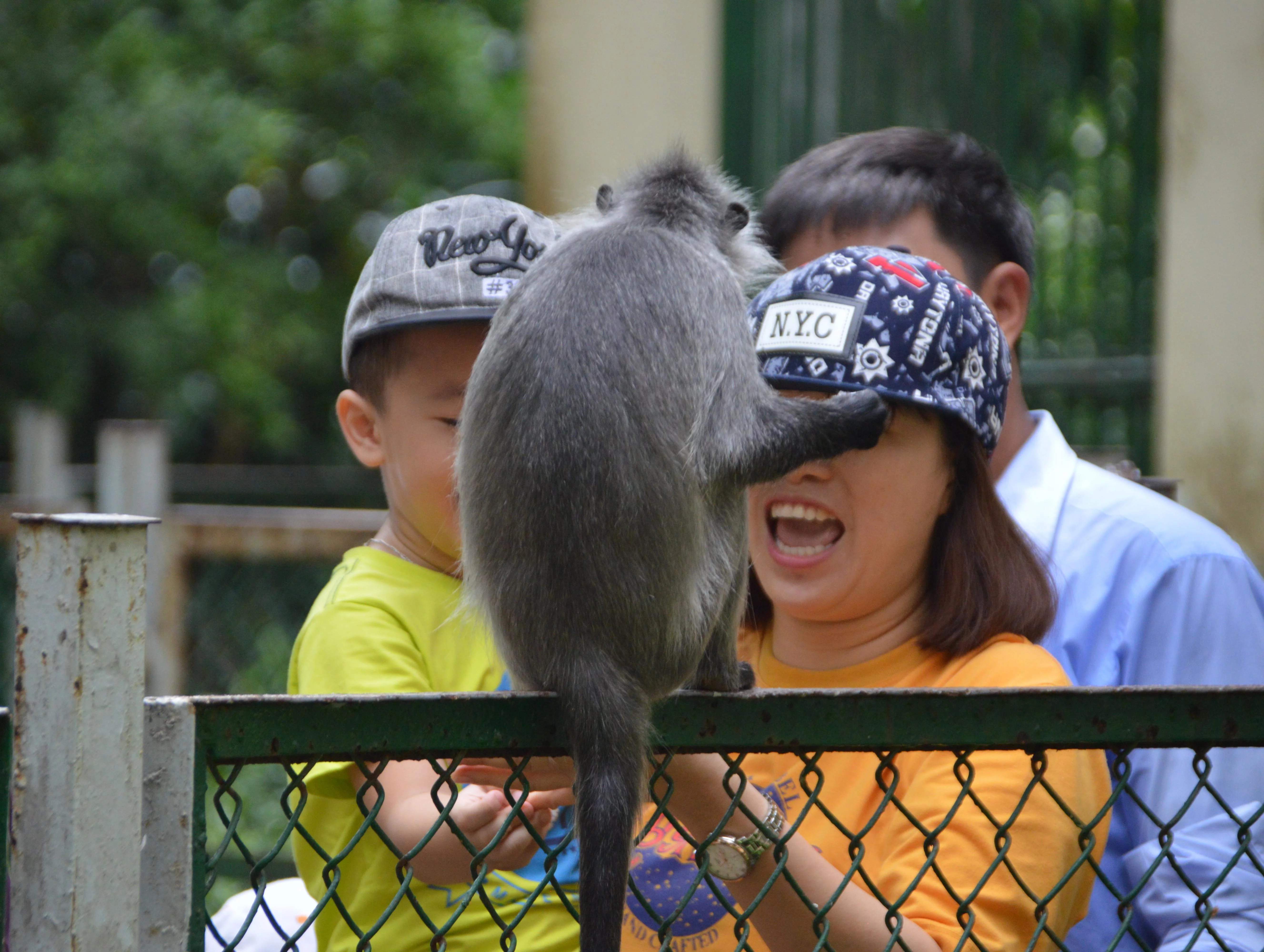 🏞️ 오사키 공원 어린이 동물원(오사키 코엔 코도모 도부츠엔) 이미지 8